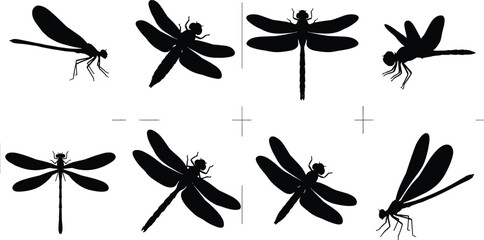 Dragonfly and Damselfly Silhouette Collection Vector Set for Nature Wildlife Design © Hasibur