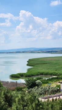 Scenic Lake View with Blue Sky and Green Trees