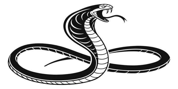 Monochrome graphic of a cobra snake ready to strike with fangs exposed venomous poisonous predator wildlife aggressive illustration monochrome isolated slithering creature serpentine