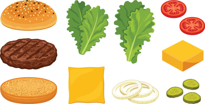 Fresh burger ingredients deconstructed vector illustration set featuring sesame buns grilled beef patty cheese slices lettuce tomatoes onions and pickles for fast food restaurant menu design