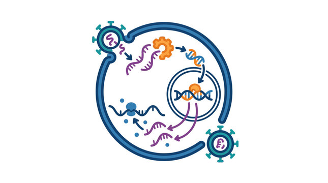 Viral Replication Process Illustration: RNA to DNA Synthesis