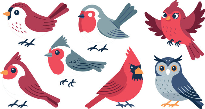 Cute vector set of cartoon birds including cardinal, sparrow, owl, robin isolated on white background