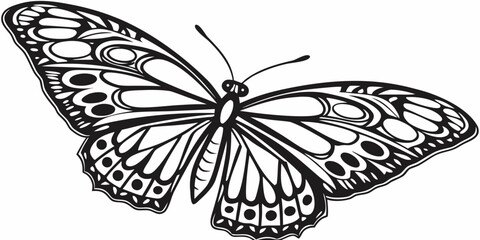 Intricate butterfly graphic design with decorative wing patterns in black line art butterfly wildlife lepidoptera detailed decorative illustration isolated silhouette beautiful creative © Abu