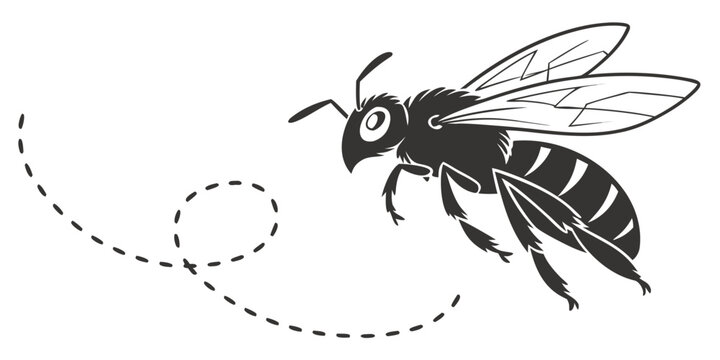 Black and white vector illustration of a flying bee with a dashed flight path honeybee silhouette creature apiculture wildlife isolated illustration minimalist entomology environment