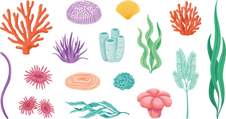 Underwater Coral Reef Element Vector Set with Colorful Seaweed Kelp Marine Plants Sea Anemones Tube Sponges and Shell Icons for Ocean Graphic Designs © Ismail