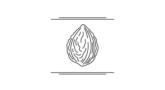 Almond nut outline icon, healthy food symbol, simple line art vector illustration