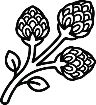 Caper Plant Line Icon Vector Illustration Isolated on White Background
