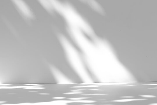 Tree leaf shadow overlay on the wall and floor isolated on a transparent background PNG