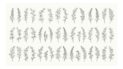 Minimalist hand drawn floral wreaths and botanical branch dividers, set of 24 delicate line art flower frames, elegant wedding invitation vector elements © I'm_coming