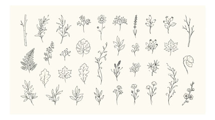 Minimalist hand drawn botanical line art, 36 floral sketches and leaf illustrations, delicate black ink wildflower vector icons for wedding branding © I'm_coming