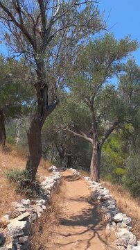 A walking path in the ancient city of Amos in Turunc, Marmaris. Hiking in the mountains, among olive trees. 4k horizontal video. Adventure, outdoor sports concept. No people, nobody.