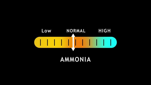 Eh scale diagram, Eh scale graphic, Acid to base, pH scale Info-graphic acid-base balance, Indicator diagram acidic alkaline measure isolated on white background illustration, Universal pH indicator