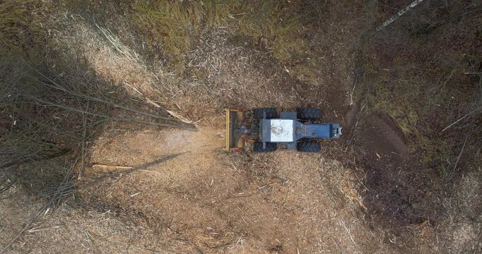 Top-down aerial view of a powerful forestry mulcher tractor grinding brush and small trees into woodchips