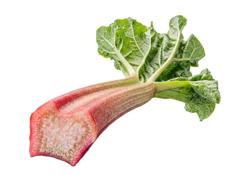 Single fresh rhubarb stalk, longitudinally cut to reveal its fibrous internal structure, with vibrant green leaves.