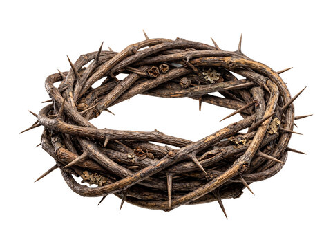 An intricate crown of thorns, a poignant symbol of suffering and redemption, isolated on a transparent background.