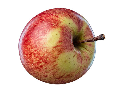 Freshly picked Gala apple with vibrant red and yellow skin, featuring a natural stem, photographed in high detail.