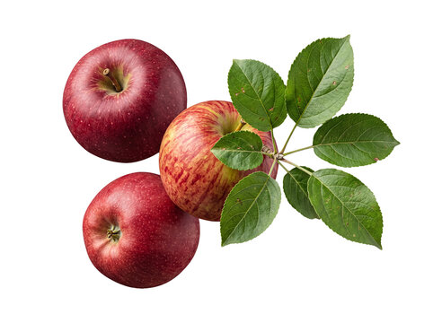 Three vibrant red apples with fresh green leaves, beautifully arranged on a clean, transparent background.