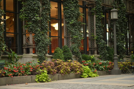 Urban cafe facade with ivy and greenery