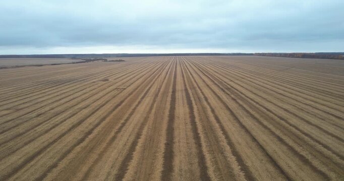Aerial forward flying shot over a vast harvested agricultural field with straight tractor lines stretching to the horizon