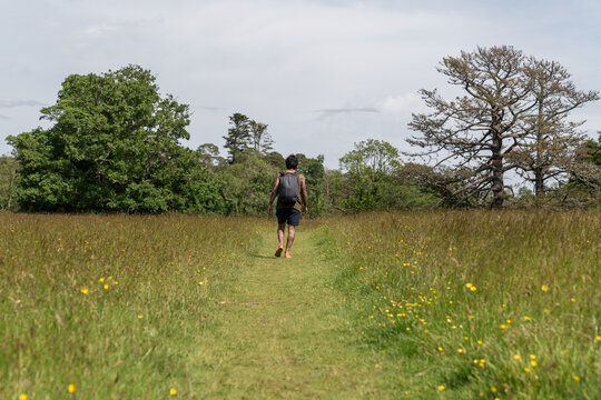 Man hiking barefoot on nature path through meadow