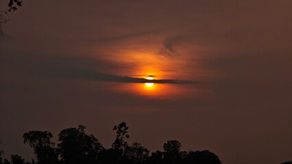 Fototapeta premium Sunset behind the tree, orange sky.