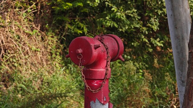 Fire Hydrant,  Red Water Hydrant.