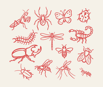Hand drawn beautiful bugs and insects icon collection with stag beetle, butterfly, scorpion, centipede, praying mantis, grasshopper, ladybug and spider vector illustration
