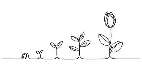 Continuous one line drawing of a plant growing from a seed to a flower © Simanto