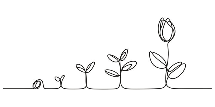 Continuous one line drawing of a plant growing from a seed to a flower