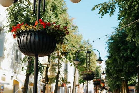 Flower baskets hang from lamp posts along a tree-lined street. The scene captures the lively atmosphere of an urban area with greenery, showcasing daily life and community