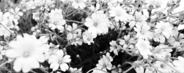 Obraz premium Abstract flower background with halftone dots. Monochrome meadow floral banner retro style