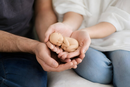 Cupped hands holding symbolic baby for surrogacy concept