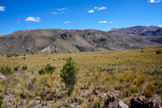 Ichu plain inside ancient volcanic crater under clear blue Andean sky