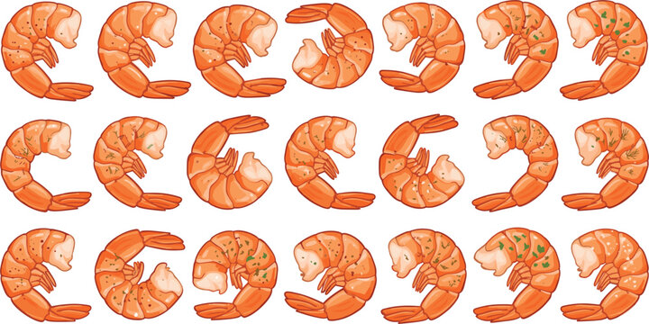 Cooked peeled shrimp set isolated on white background, delicious boiled prawns vector illustration for design