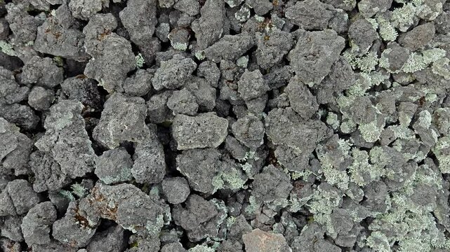Top view of dark volcanic rock texture covered with green lichen, volcanic soil background