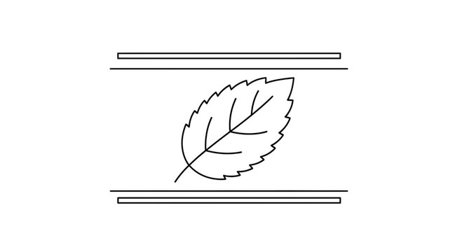 Minimalist Line Art Icon of a Mint Leaf Between Two Parallel Lines