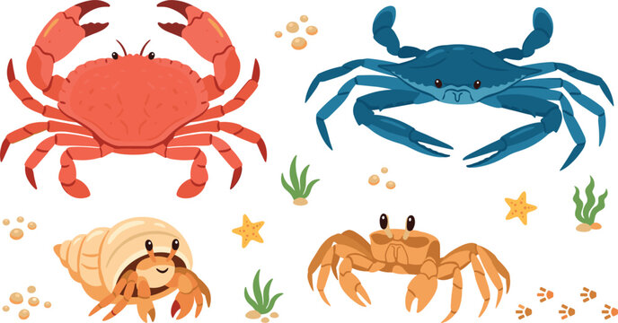Cute crab vector illustration set with red crab blue crab hermit crab ghost crab starfish seaweed and sand bubbles isolated on white background