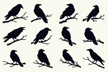 Obraz premium Set of black ravens silhouettes sitting on branches vector illustration
