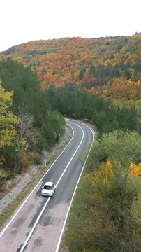 The road winding through the forest, which has taken on different colors in autumn, and the traffic flowing by.