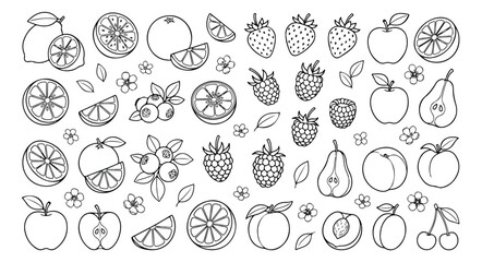 Hand drawn fruit line art collection, black and white fruit icons set, organic berry and citrus sketches, botanical fruit vector illustrations © Asma