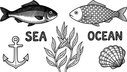 Marine Life and Ocean Elements Hand Drawn Vector Collection with Fish Seaweed and Shell © Jahanara