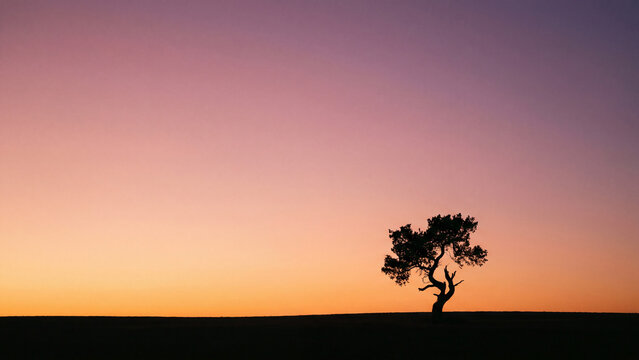 Lone tree silhouette sunset minimalist peaceful solitary golden hour zen nature landscape for poster design background wallpaper banner template horizon
