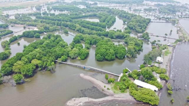 An aerial shot showing mangrove wetland and a modern urban cityscape with high-rise buildings and a highway. Great for projects on urbanization, real estate, Mangrove near city