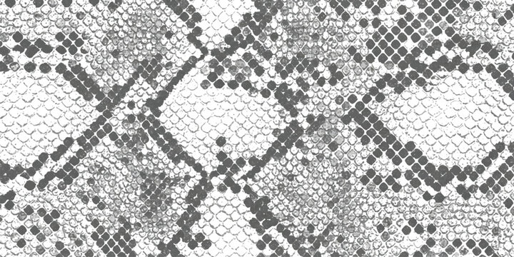 Black and white snake skin pattern texture with repeating reptile scale design for fashion or fabric print