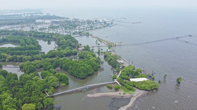 An aerial shot showing mangrove wetland and a modern urban cityscape with high-rise buildings and a highway. Great for projects on urbanization, real estate, Mangrove near city