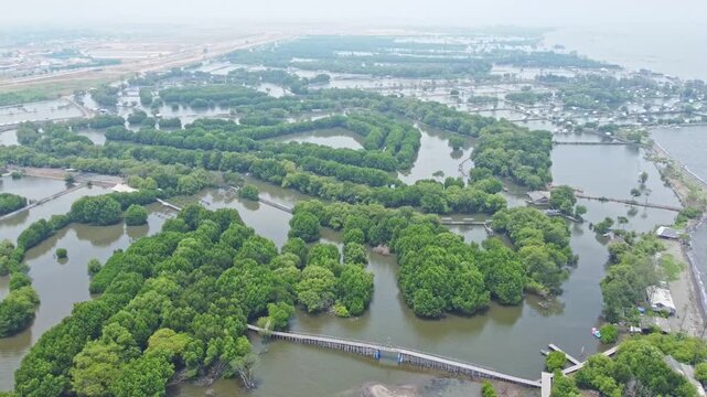 An aerial shot showing mangrove wetland and a modern urban cityscape with high-rise buildings and a highway. Great for projects on urbanization, real estate, Mangrove near city