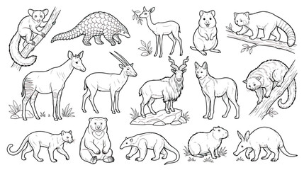 Hand drawn exotic wild animals collection, black and white line art illustrations of rare mammals, coloring book vector set © Fahad