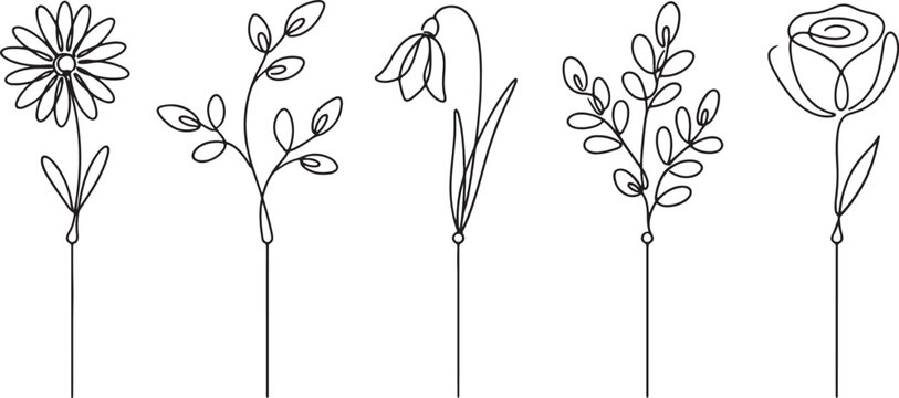 Set of five hand-drawn floral featuring single line style flowers and leaves isolated on a plain white background, for also transparent background