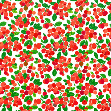 Seamless pattern of red berries and green leaves on white background. EPS Editable. Vector Illustrations.