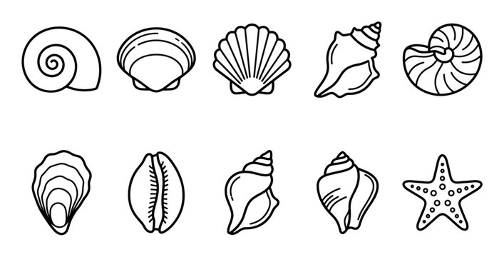 Seashells and marine life icons collection featuring various ocean elements, including conch, clam, scallop, nautilus, and starfish in a simple outline style.